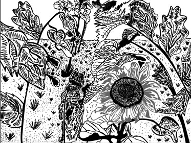 Koira
                auringonkukkapellolla