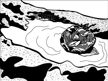 Ruusu Vesilammikossa